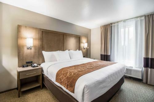 Hotel Comfort Suites