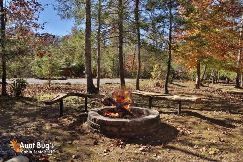 Splash N' Play #524 By Aunt Bug's Cabin Rentals