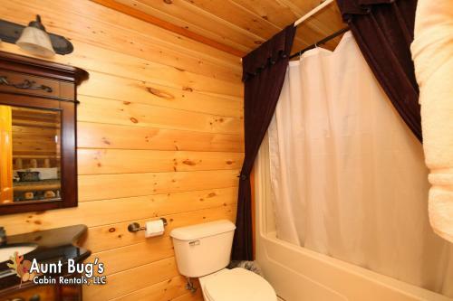 Swimmin With Bears #375 By Aunt Bug's Cabin Rentals