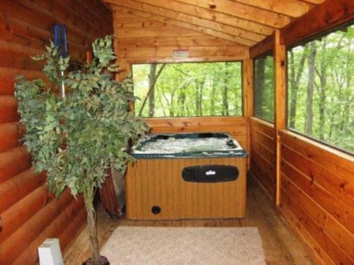 Bear Pleasures Cabin