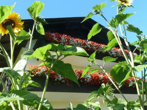 Apartamento Ferienhaus Ramsbacher