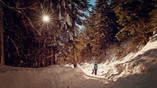 Apartamento Ferienhaus Ramsbacher
