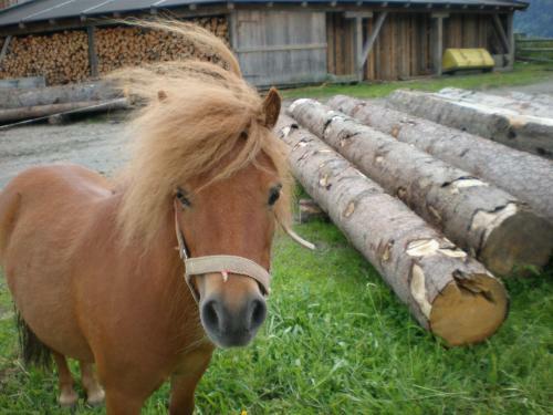 Agroturismo Oberhaslinghof
