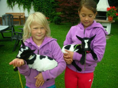 Agroturismo Thomanhof