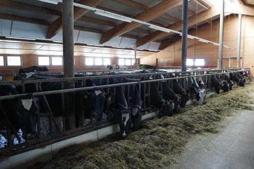 Agroturismo Thomanhof