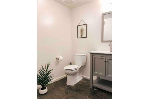 Apartamento Historic Sterchi Loft On Gay St