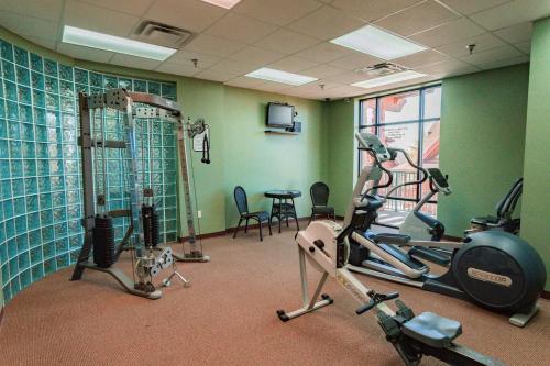 Bear Claw � Bear Claw Retreat In Pigeon Forge!