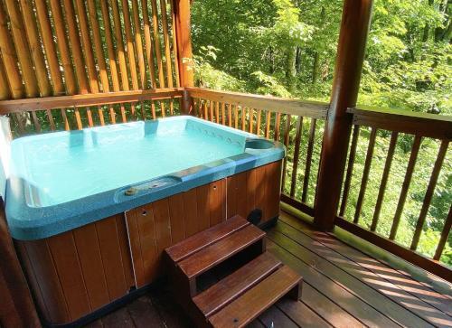 Cozy Bear Cabin Cabin