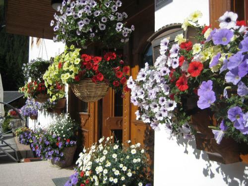 Hostal Pension Praxmarer