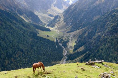 Chalet Alpenjuwel