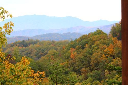 Blessed With A View Cabin