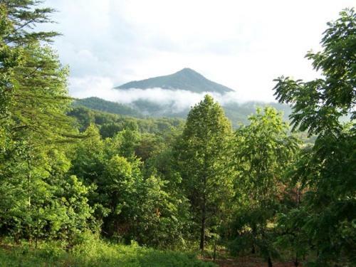 Misty Cove