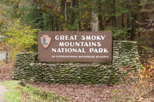 Smoky Mountain Views