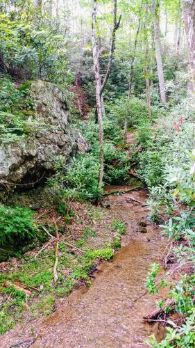 Creek Song