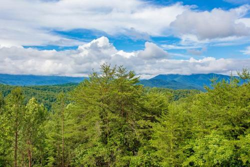 Kori's Mountain View