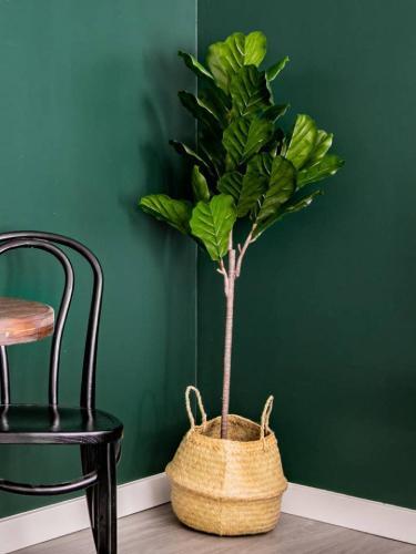Apartamento Wanderjaunt - Central Austin Studios