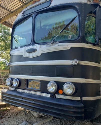 The Dog Haus Cl 195dh Home