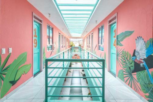 Hostal Flamingo Hostel & Coworking