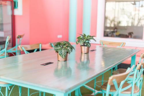 Hostal Flamingo Hostel & Coworking