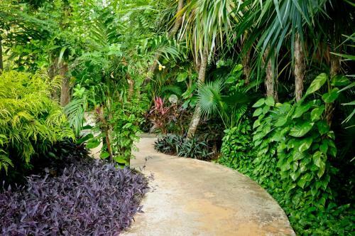 Eco Boutique Hotel Amarte