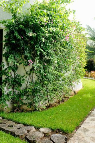 Eco Boutique Hotel Amarte