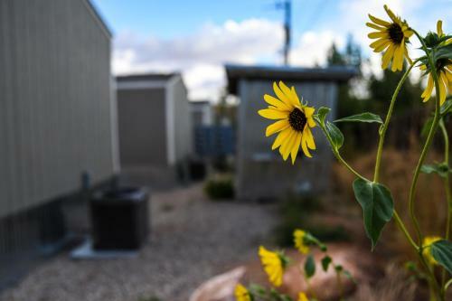 Rsh 3 - Sleeps 10! Minutes From Downtown Moab
