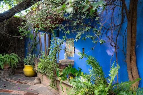 Posada Colibri - Hotel & Spa