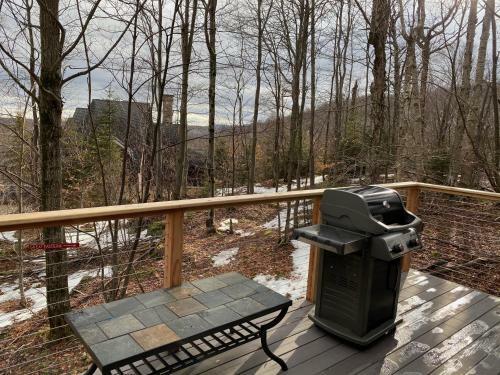 Great Escape Ski Lodge