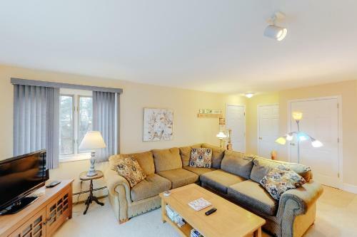Mountainside Resort V