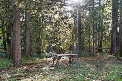 Cedarwood Grove