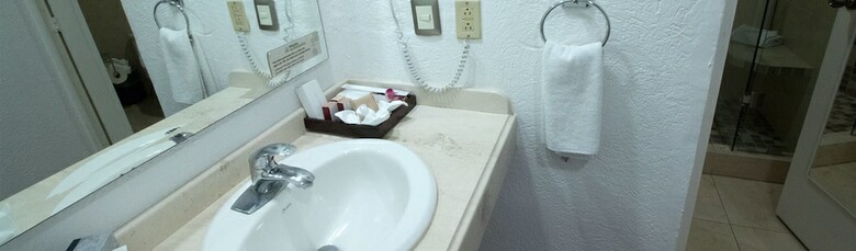 Hotel Misi�n Orizaba