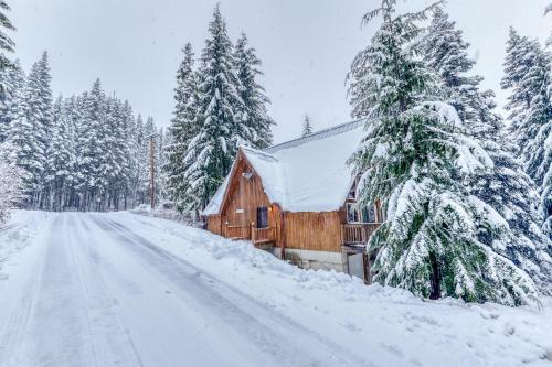 Conifer Estate With Bonus Suite