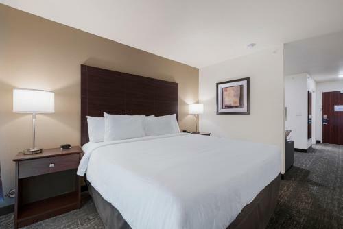 Cobblestone Hotel & Suites - Little Chute
