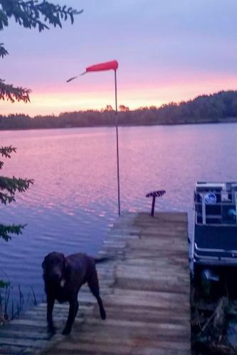Cabin With Private Island Less Than 6 Miles To Sand Valley!