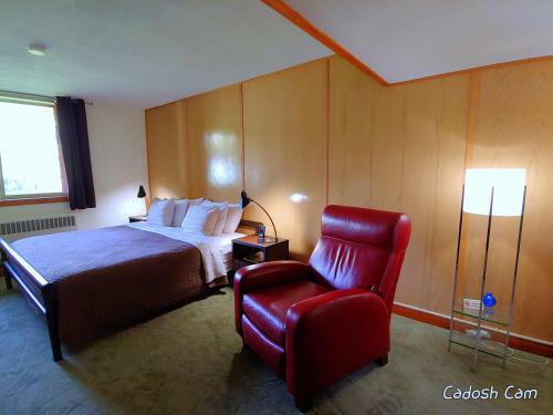Motel The Usonian Inn Llc