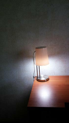 Motel The Usonian Inn Llc