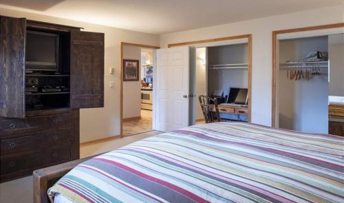 Spruces 8