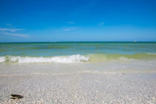 San Marco Residences #507 - 1 Bed Direct Beach Access