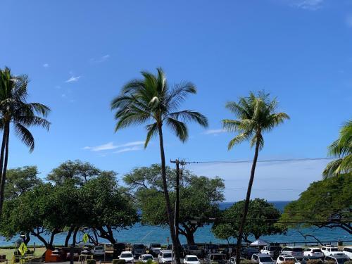 Maui Parkshore #313