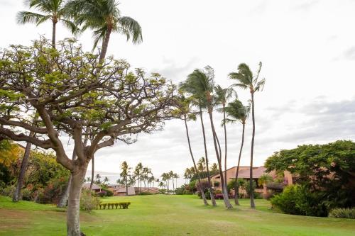 Wailea Ekahi #45-e