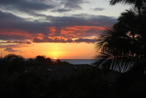 Kihei Akahi #c-217