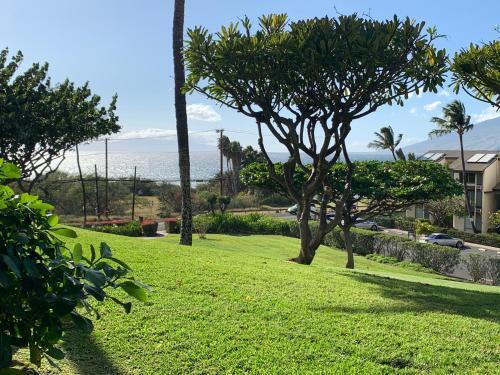 Maui Kamaole #h-108