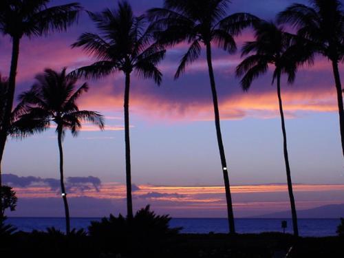 Maui Kamaole #f-207