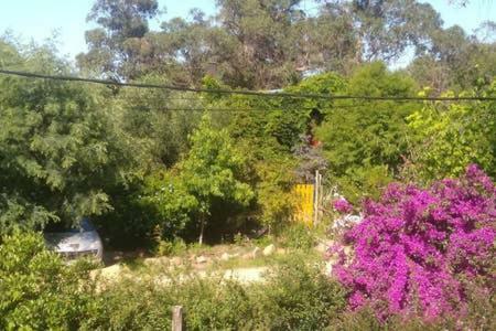 Hostal Habitaci�n Artesanal