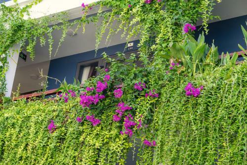 Hotel Shala Boutique Hoian