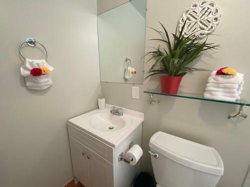 Hostal The Breeze-a Boutique Villa Experience