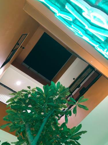 Hotel Ch� Hi?u Homestay