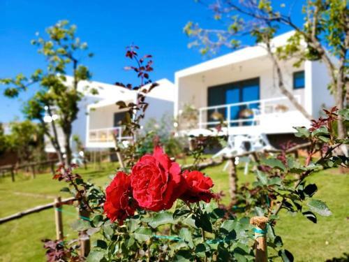Hotel Orion Boutique Resort