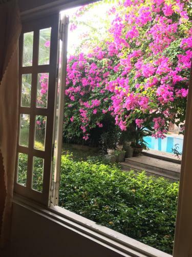 Diamond Hotel Resort