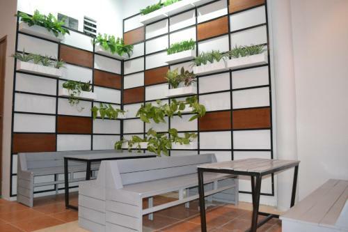 Casa Inn Hostel & Coffee